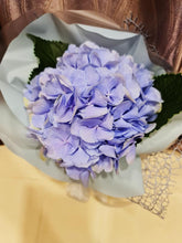 Load image into Gallery viewer, Glamorous Hydrangea