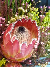 Load image into Gallery viewer, Protea Green