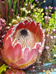 Protea Green