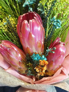 Protea Pink